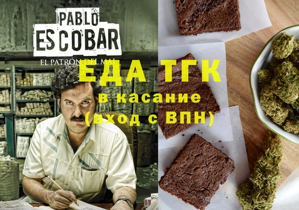 индика Волосово