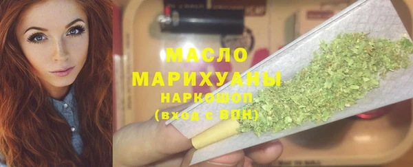 индика Волосово