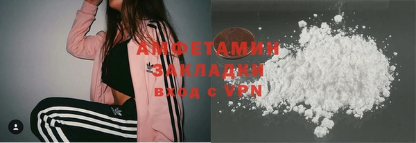 индика Волосово