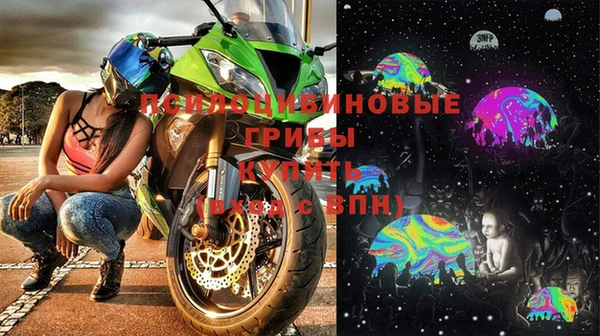 индика Волосово