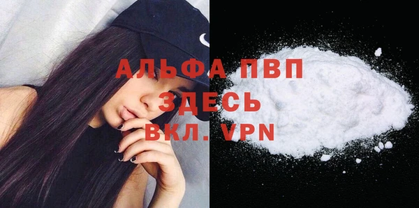 индика Волосово