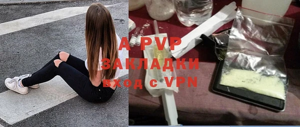 индика Волосово
