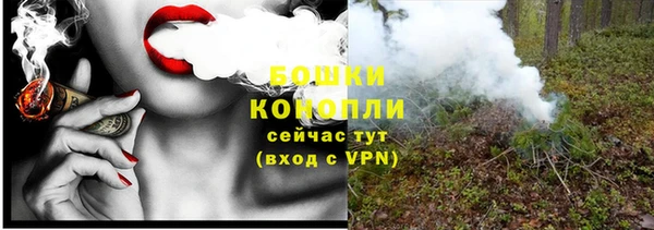 индика Волосово